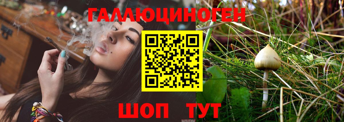 Кандалакша  Галлюциногенные грибы Magic Shrooms  Псилоцибиновые грибы Psilocybine cubensis  Вход с VPN 