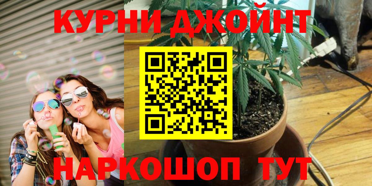 Бошки марихуана конопля  Вход с VPN  Конопля OG Kush  Бошки марихуана THC 21%  Конопля гибрид  Кандалакша 